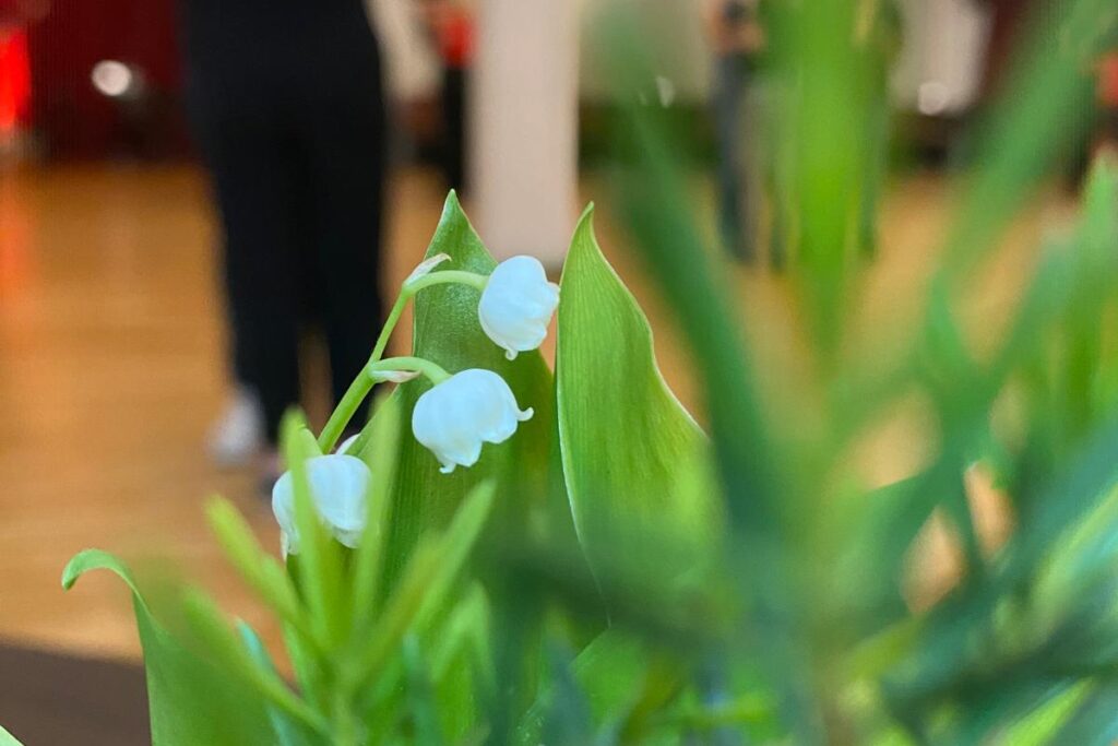 Tanz in den Mai 2026